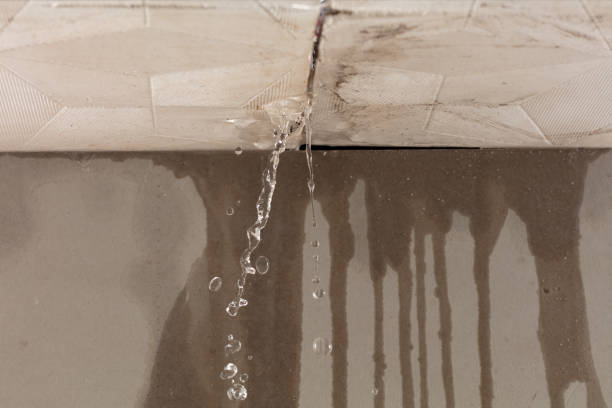 Professional Burst Pipe Cleanup technician working in Central Point, OR